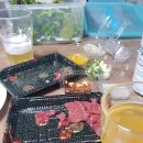 경주 육회 맛집 더잡수소 본점, 육회, 육사시미 포장 후기