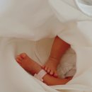 [육아출산] 울산 동구 로즈메디 산후조리원 생생후기 🏨🌷👩‍🍼