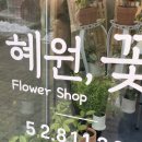 혜원;꽃진접꽃집 이미지