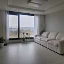 사계절세탁소 | 한일카페트 사계절 사이잘룩 거실 러그 1년 사용 후기