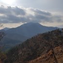 호남숯불갈비 이미지