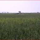 순천만 여행 이미지