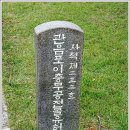 대성(경남) 티스토리