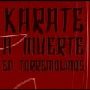 가라데 좀비 (Karate a muerte en Torremolinos, 2003) 이미지