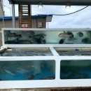 감포회직송 이미지