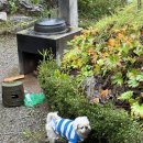 삼방산길 이미지