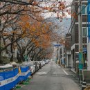 여좌어린이집 이미지