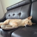 여울소리오토캠핑장 이미지