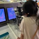 물소리바람소리 2관 | 대구 아이와 가볼 만한 곳 국립 대구과학관