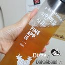 정직한친구들