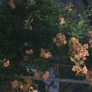 세븐일레븐 상주무양드림점 | 기나긴 여름을 지나서