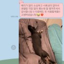 레스트윗 이미지