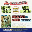 베리/1월23일 시간협의/파주＞인천 미추홀구 이미지