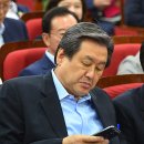 김무성 카카오 검색결과