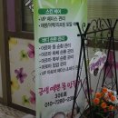 금생예쁜몸만들기