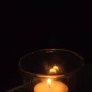 오늘도165 | 농성동카페 무드165 내돈내산, 광주케이크 맛집 심야카페 후기