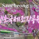 아름다운 서부경남] "산청은 지금 꽃잔디 물결" 산청 생초국제 ... 이미지