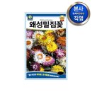 다농플라워