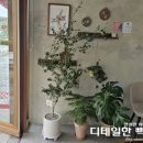 세종 새롬동 카페 곁에한그루 실타래빙수 강추