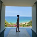 내게소중한사람들 | 나트랑 미아리조트 내돈내산 후기 오션뷰,프라이빗풀