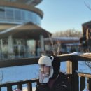 현대수콘도오락실 | [정선] 하이원리조트 현대홈쇼핑 2박 3일 일정 구매후기 (마운틴콘도 35평,조식,곤돌라,워터월드)