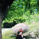 우솔 이미지