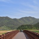 순천만풍경 | [순천 가볼만한곳] 갈대밭부터 용산전망대까지 직접 다녀온 '순천만습지' 후기