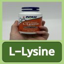 리신 | 면역증진제 나우푸드 L리신 L-라이신 먹어본 내돈내산 후기