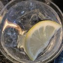 여우곱떡 | 리시안셔스 꽃말이 뭐게