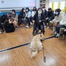 전일중학교 이미지