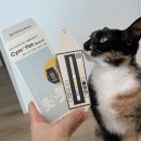 PET25시동물병원 | 정기 건강검진 사이, Cym702 Pet 고양이 소변 키트로 집에서 체크해 봤어요