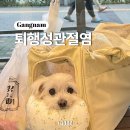 금천24시 K동물의료센터 이미지