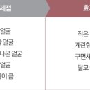 약손명가에스테틱(일산킨텍스점) 네이버블로그