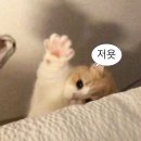 위드그린