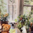 금동살롱 이미지