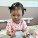 새싹작은도서관 | [김해 율하 서울새싹병원] 4박 5일 1인실 입원 후기 장단점 꿀템 병원비 보험 청구 민생지원금❌