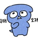 고기고집금천 이미지