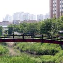 장수천* 이미지