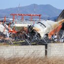 “무안공항 유족만 횡재”…경찰, 희생자 유족 모욕한 네티즌 추적 중 이미지