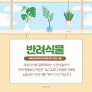 코끼리상회 이미지