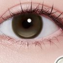 다비치안경(효자점) 이미지