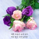 1월26일 불금 소블리출부~~ 이미지