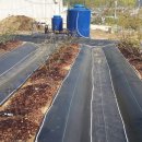 관수농장 이미지