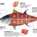 오도로초밥&참치 이미지