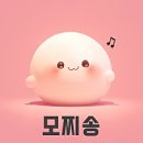 짝꿍숲어린이집 | [WD] 더메리든 화동 후기 / 화동 장점, 복장, 배경음악