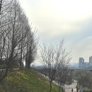 운정호수공원 | 파주 운정호수공원 벚꽃 명소 나들이후기