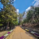 팔영산자연휴양림 이미지