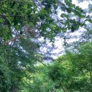 효석문학100리길 제4구간 이미지