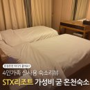 청화농장 | 아이 둘과 다녀온 문경 STX 리조트 , 문경온천 수영장 숙소까지 완벽정리