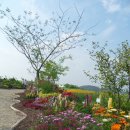 야생화단지내 이미지